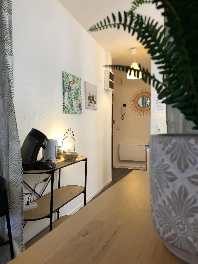Апартаменты Equateur-Centre Jaude Клермон-Ферран Экстерьер фото